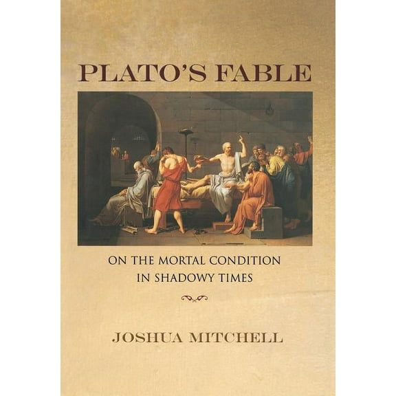 New Forum Books Plato's Fable: On the Mortal Condition in Shadowy Times, Book 40, (Hardcover)