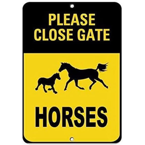 New Funny Novelty Metal Sign Aluminum Sign Fresh Eggs for Sale Sign for Outdoor & Indoor 16" x 12"