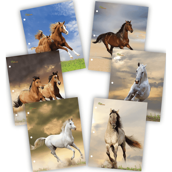 New Generation Letter Size 2-Pocket Folders, Assorted Horses Designs , 6 Pack