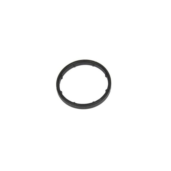 New Genuine GMC (S)Seal 24445723 / 24445723 OEM