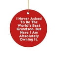 thumbnail image 1 of New Grandson Circle Ornament, I Never Asked to Be The World's Best, Epic Christmas Ornament for Grandson from Grandparent, Unique Grandson Gifts, Gifts for Grandsons, Personalized Gifts for, 1 of 1