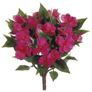 Walmart impatiens shop flats