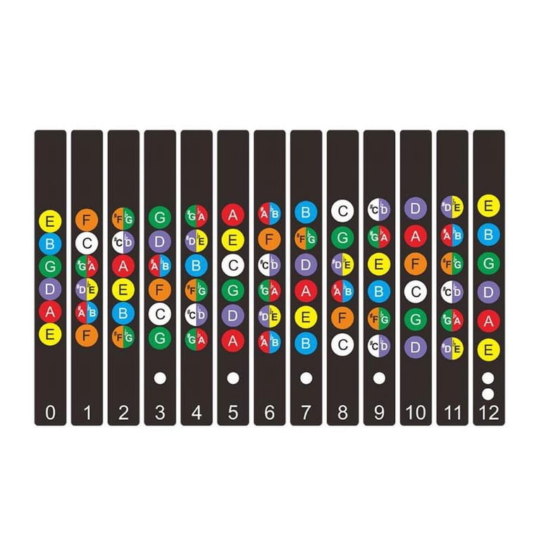 Guitar Fretboard Notes Map Labels Beginner Fingerboard