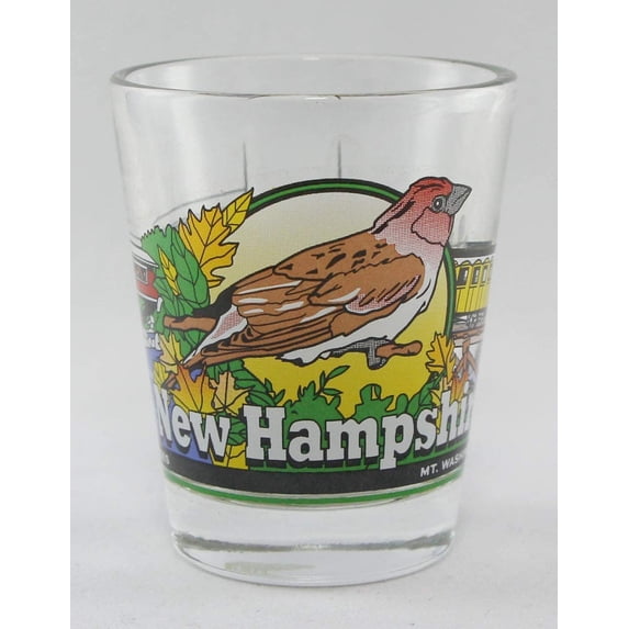 New Hampshire 3 View Shot Glass