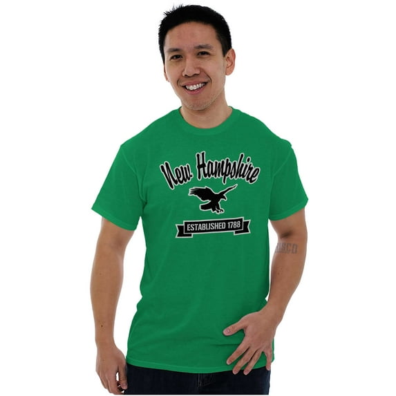 New Hampshire Cute Eagle Souvenir Men's Graphic T Shirt Tees Brisco Brands L
