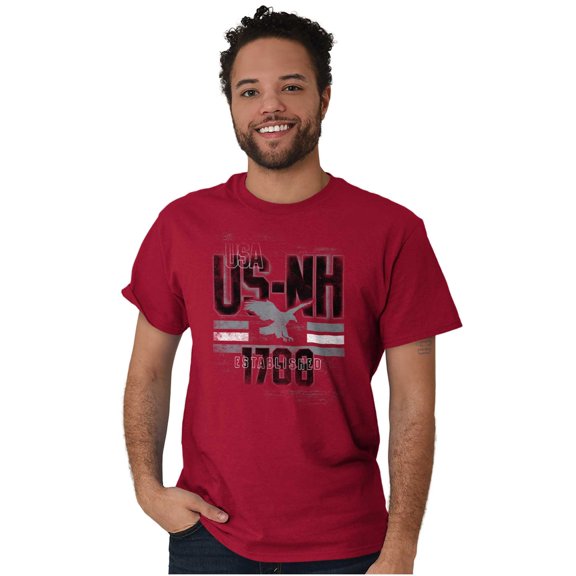 New Hampshire Eagle Distressed Retro Men's Graphic T Shirt Tees Brisco Brands S