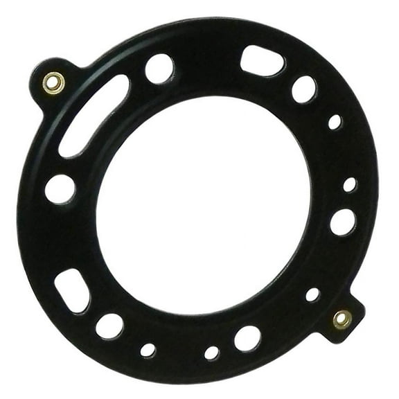 Compatible with 1986-1989 Honda TRX250R FourTrax 249cc 2-Stroke Liquid-Cooled ATV Engine Rebuild Kit 66mm STD Bore Piston Rings Pin Clips Gaskets ATC250R Single-Cylinder Replaces 20-102