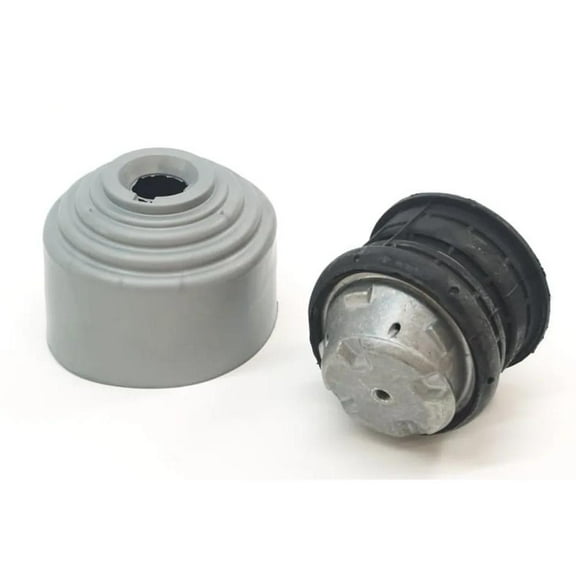 Right Hydro Bearing Motor Mount Compatible with 1998-2005 Mercedes-Benz CLK320 Base 3.2L (98-02) Base 3.2L (03-05) SLK32 AMG (02-04) SLK320 (01-04) C240 2.6L (01-05) C320 2032411113