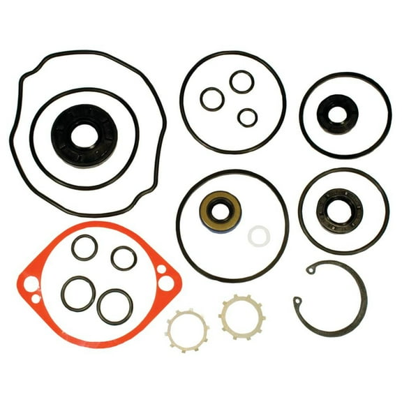 Pump Overhaul Seal Kit Compatible with Wright Stander WS32FS541R WS32FS600RE WS36ZT710E WS48FS600RE 32" 36" 48" Stand-On BDP-10A Replaces 70525 105-6184 HG70525