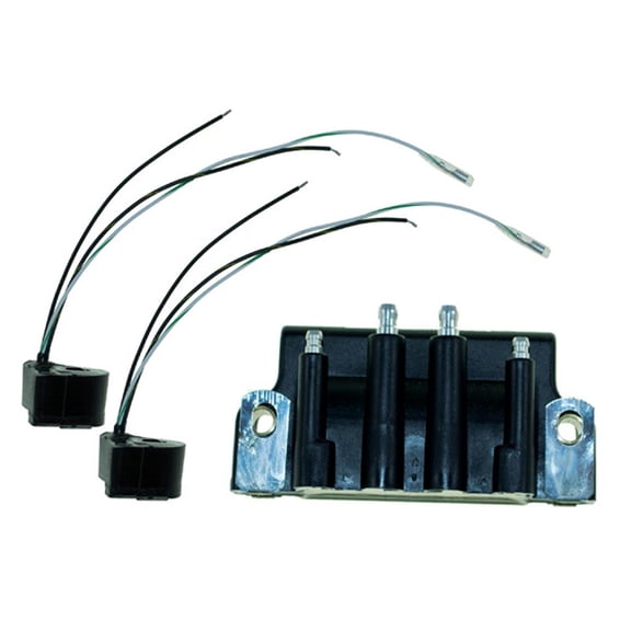 Force Chrysler Sears BIM I 2-Cyl Ignition Kit Compatible with 9.9HP 15HP 7.5HP 2-Stroke Outboard Motor 1984-1995 2-Cylinder Mercury F12386 Modules Replaces F12379 F712475 116-2379K2