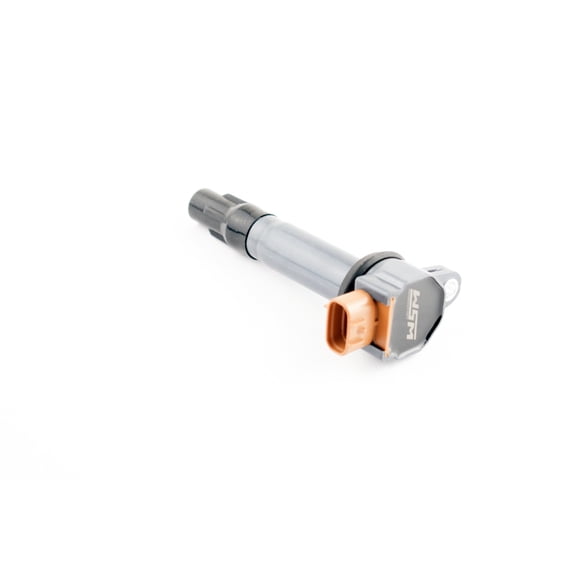 Engine Ignition Coil Compatible with 2016-2022 Sea-Doo GTI GTX GTR GTS Fish Pro RXP GTXS 900cc 1503cc 1630cc BRP 4-Stroke PWC Personal Watercraft Replaces OEM 420666142 420666141