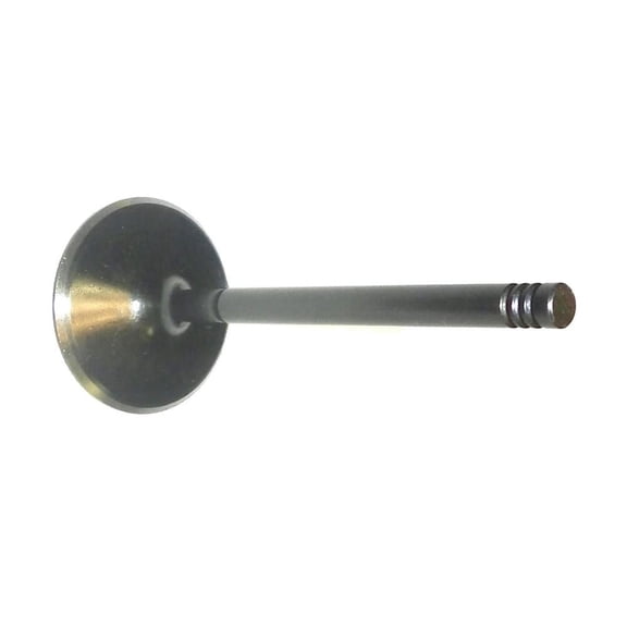 New Intake Valve Compatible with Sea-Doo Cruise 18-170 2022-2025 Cruise 21-170 2022-2025 21-230 2025 Rotax 1630 ACE 4-Stroke SOHC Marine Jet Boat Intake Valve 420254294 420253163