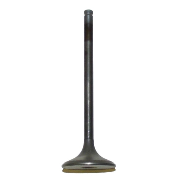 Intake Valve Compatible with 1985-1989 Honda ATC 350X TRX 350 FourTrax 350cc Air Cooled 4-Stroke OHC 4-Valve Single Cylinder ATV New 14711-HA7-670