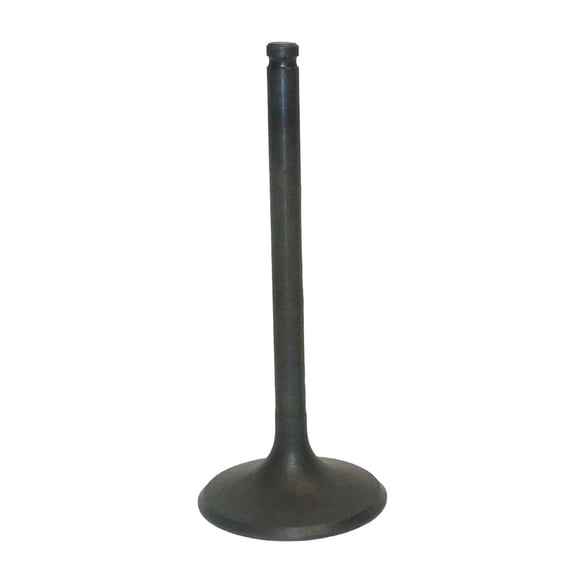 Intake Valve Compatible with 2000-2006 Honda TRX 350 Rancher 329cc Air Cooled 4-Stroke OHV Single Cylinder Required Fitment Replaces 14711-HN5-M00
