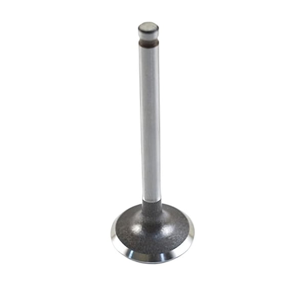 OEM Grade Intake Valve Compatible with 1997-2003 1997-2012 Honda CRF70F XR70R 72cc OHC 4-Stroke Air-Cooled Single-Cyl Trail Bike Engine 14711GN5913 Replaces 14711-GN5-913