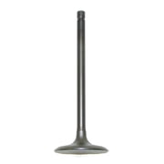 Intake Valve Compatible with 2006-2024 Yamaha Raptor 700 Grizzly 700 Kodiak 700 Viking Rhino V Star 1300 686cc SOHC 4-Valve Engine YFM700R YFM700FG YXM700 Steel Replaces 5VK-12111-00-00