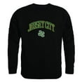 thumbnail image 1 of New Jersey City University Knights Campus Crewneck Pullover Sweatshirt Sweater - Black, Medium, 1 of 2