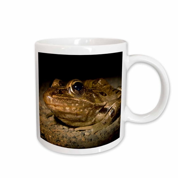3drose, New Jersey, Great Swamp Nwr. Southern Leopard Frog - Us31 Jgl0034 - Jim Gilbert, 11oz Mug