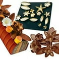 thumbnail image 1 of New Magyfleur Chest, 1 of 1