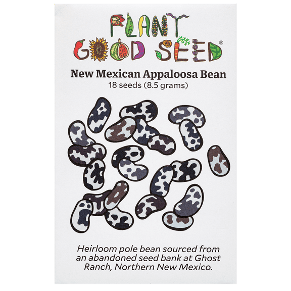 New Mexican Appaloosa Pole Bean Seeds: Full Sun Annual, Rare Heirloom, Summer Grown, Multi Color