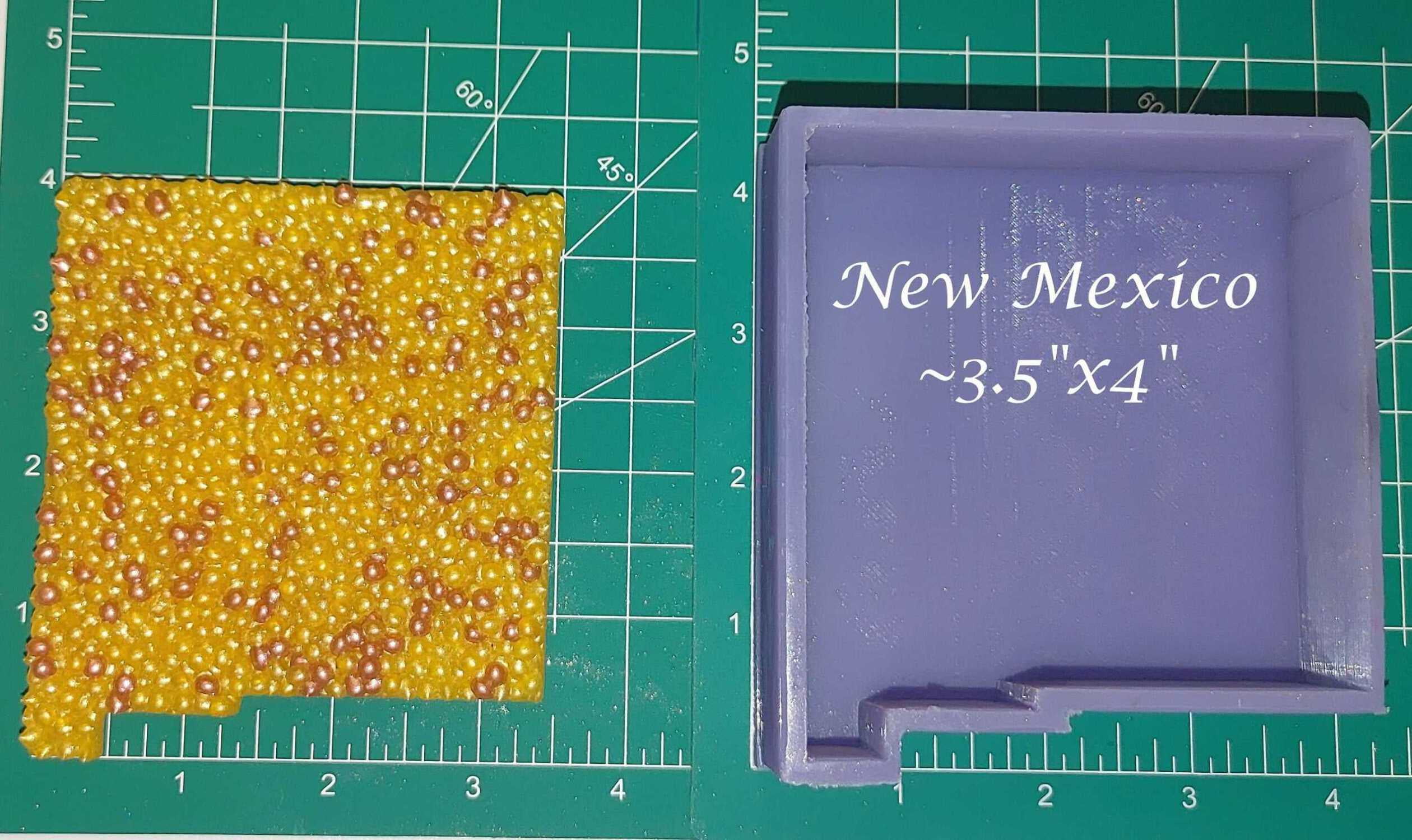 New Mexico - Bumpy Front - Silicone Freshie Mold