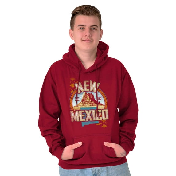 New Mexico Desert Mountain Landscape Unisex Plus Fleece Graphic Hoodie Brisco Brands 3X