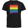 thumbnail image 1 of New Mexico LGBT Gay Pride Rainbow Black Adult T-Shirt - Large, 1 of 1