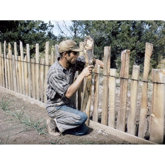 New Mexico Pie Town 1940. Nhomesteader Jack Whinery Repairing A Fence In Pie Town New Mexico. Photograh By Russell