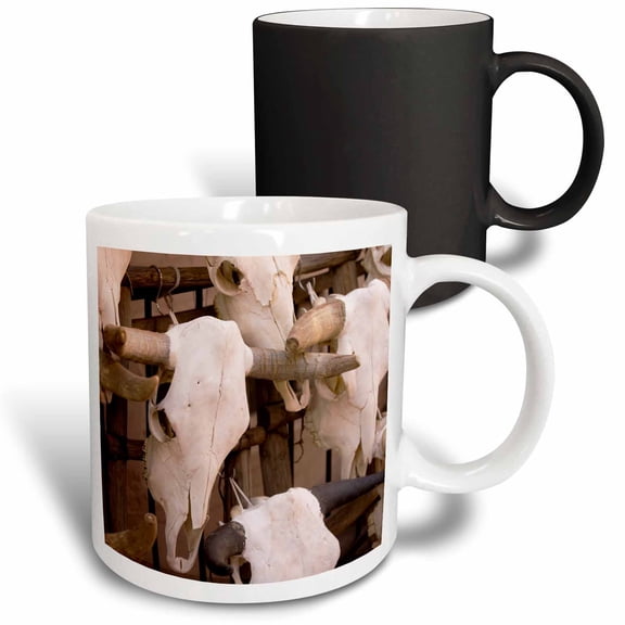 3drose, New Mexico, Santa Fe, Plaza, Cattle Skulls on Display - Us32 Rca0064 - Rob Casey, 11oz Magic Transforming Mug