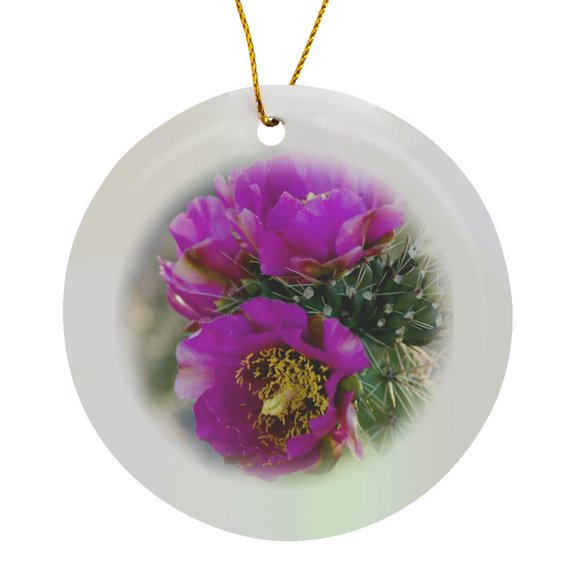 3drose, New Mexico, Tree Cholla Cactus Succulent - Us32 Tdr0072 - Trish Drury, Circle Porcelain Ornament