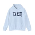 thumbnail image 1 of New Mexico Trip Moving Away Vacation Hoodie, Gifts, Hooded Sweatshirt, 1 of 4