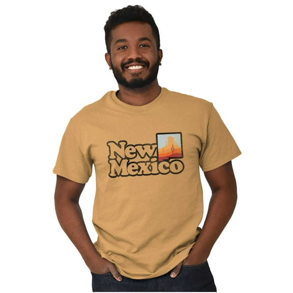 New Mexico Vintage Desert Vacation Plus Size Crewneck Graphic Tee Shirt Brisco Brands 2X