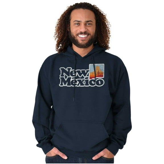 New Mexico Vintage Desert Vacation Unisex Plus Fleece Graphic Hoodie Brisco Brands 3X