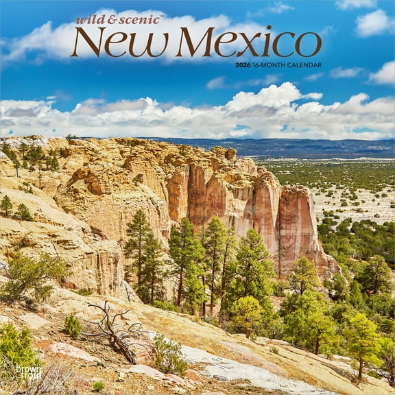 New Mexico Wild & Scenic | 2026 12x24" (Hanging) Wall Calendar | Plastic-Free