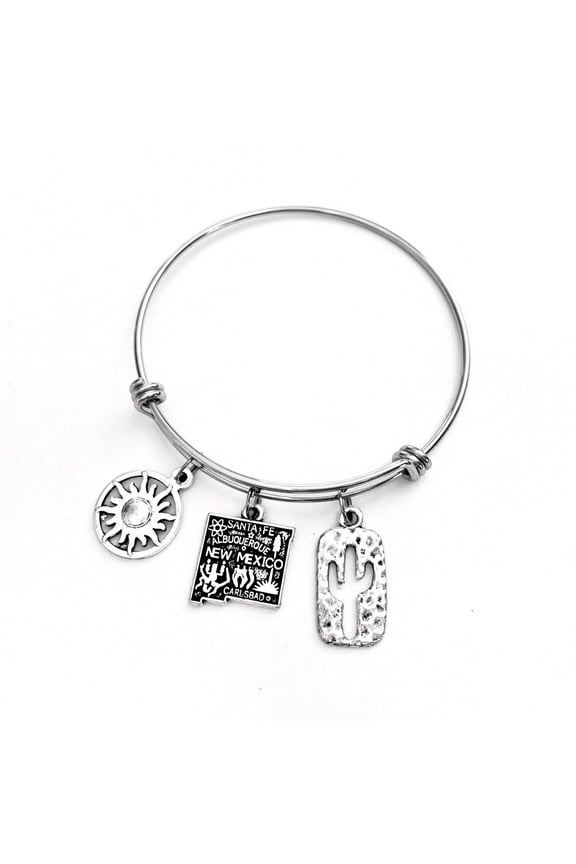 New Mexico themed bracelet. Includes State of New Mexico, a Cactus, and Sunshine charms. Albuquerque, Santa Fe, Las Vegas Gift.