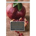 thumbnail image 1 of New Middle Ages Story and Philosophy for Social Change in Medieval and Postmodern Writing: Reading for Change, (Hardcover), 1 of 1