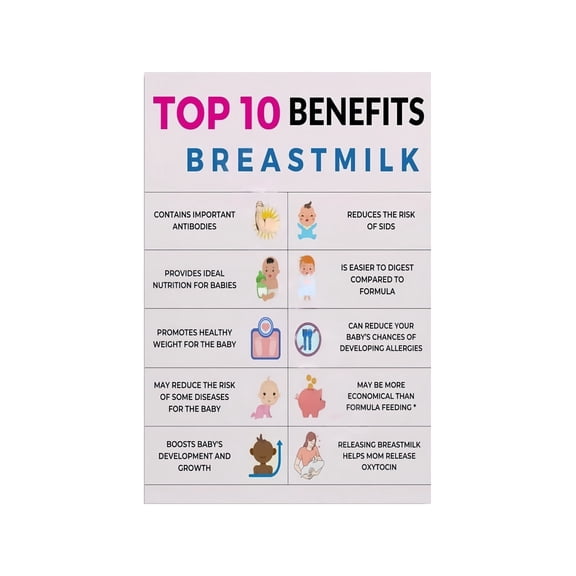 New Mom Breastfeeding Guide Poster Lactation Tips Latch and Pumping Reference Chart Educational Wall Decor for Nursery Baby Room and Postpartum