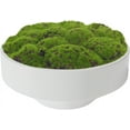 thumbnail image 1 of New Moss Bowl, Handmade Ceramic Bowl. 11" Artificial Moss Centerpiece for Home Decoration, Living Room, Office, 1 of 7