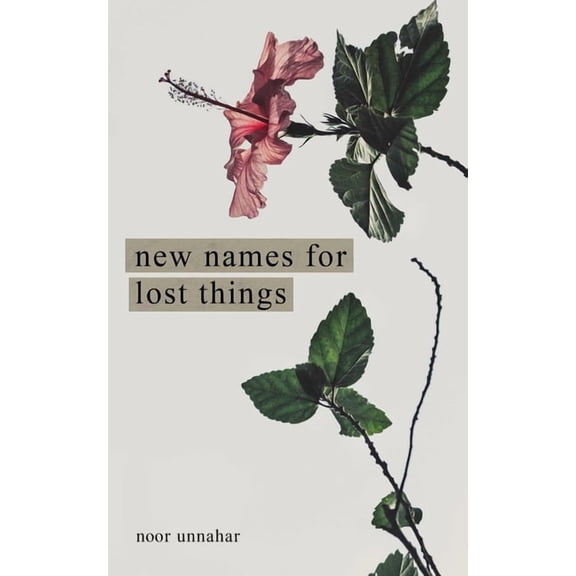 New Names for Lost Things, (Paperback)