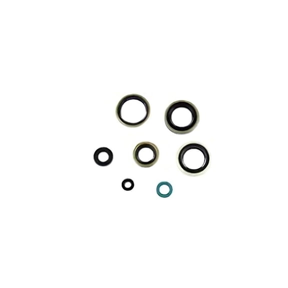 New Oil Seal Kit Compatible With Kawasaki KDX 220cc KDX 200cc By P400250400221