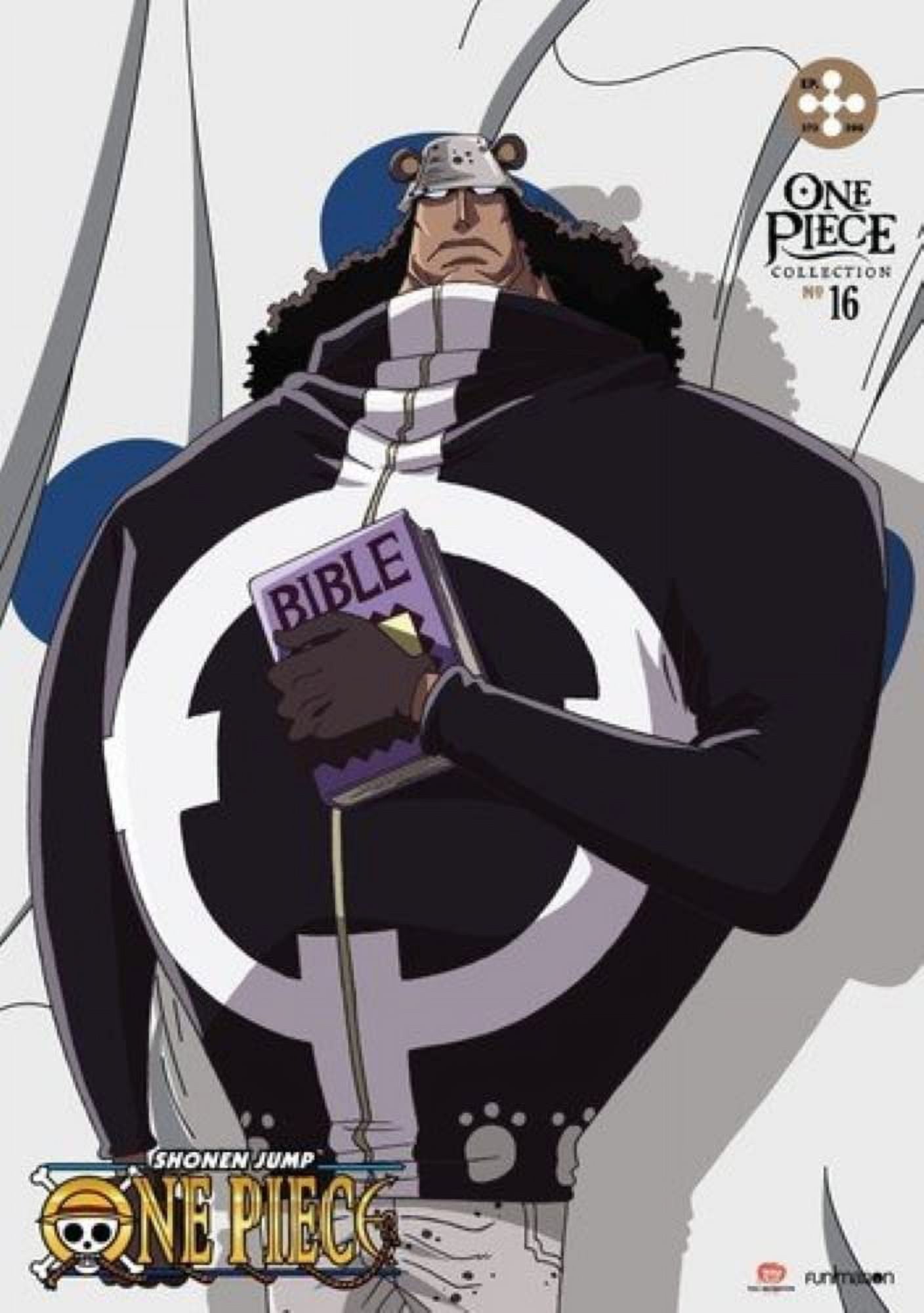 Funimation Prod One Piece: Collection Sixteen - Anime DVD, Luffy