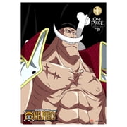 One Piece: Collection 19 (DVD), Funimation Prod, Animation