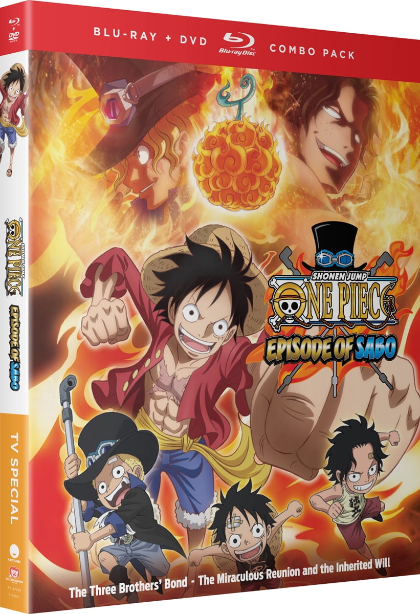 New One Piece: Episode of Sabo (Blu-ray + DVD) - Walmart.com