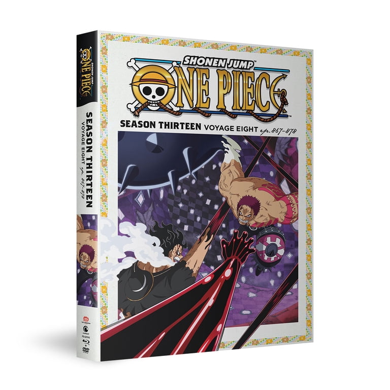 New One Piece Season 13 Voyage 8 (Blu-ray + DVD) - Walmart.com