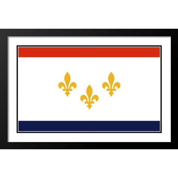 New Orleans, Louisiana Flag Wood 20x23 Framed and Double Matted Photo Print