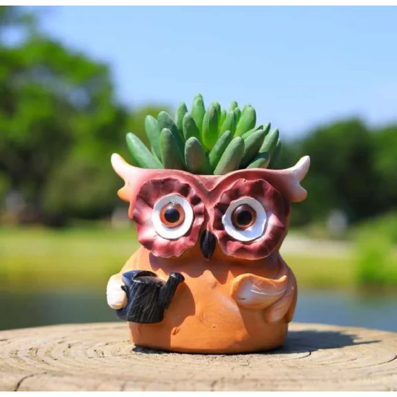New! Owl Planter Pot For Succulent Plants Cactus Flowers Pot, Fairy Garden Decor