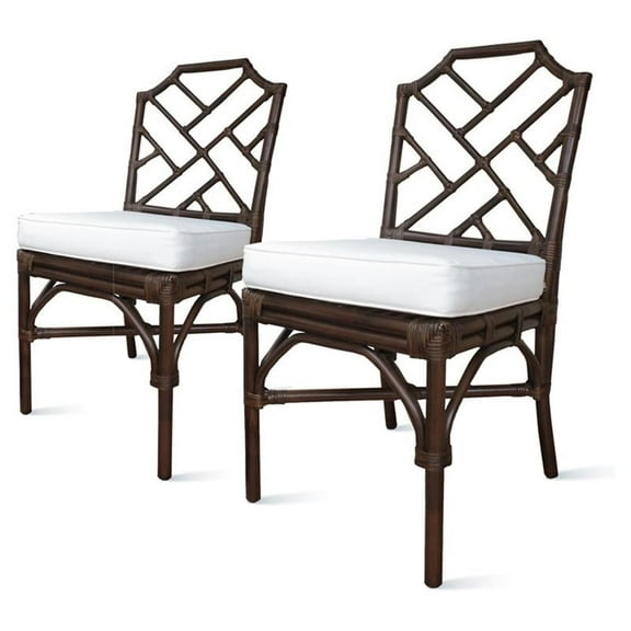 New Pacific Direct Kara 21" Fabric and Rattan Chair in Brown (Set of 2)