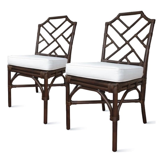 NPD Furniture Kara 21" Fabric and Rattan Chair in Brown (Set of 2)