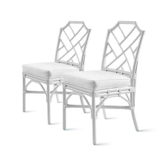 New Pacific Direct Kara 21" Fabric and Rattan Chair in White (Set of 2)