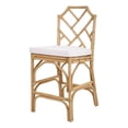 thumbnail image 1 of NPD Furniture Kara Rattan Counter Stool (Set of 2), 1 of 11